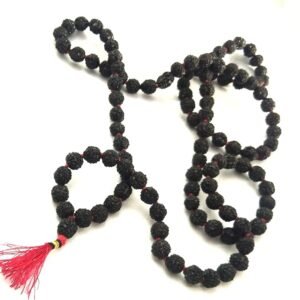 Fiinzto Classic Rudraksha Mala