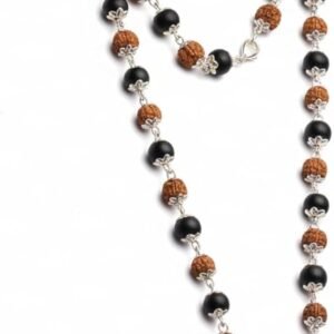 Fiinzto Premium Rudraksha Set
